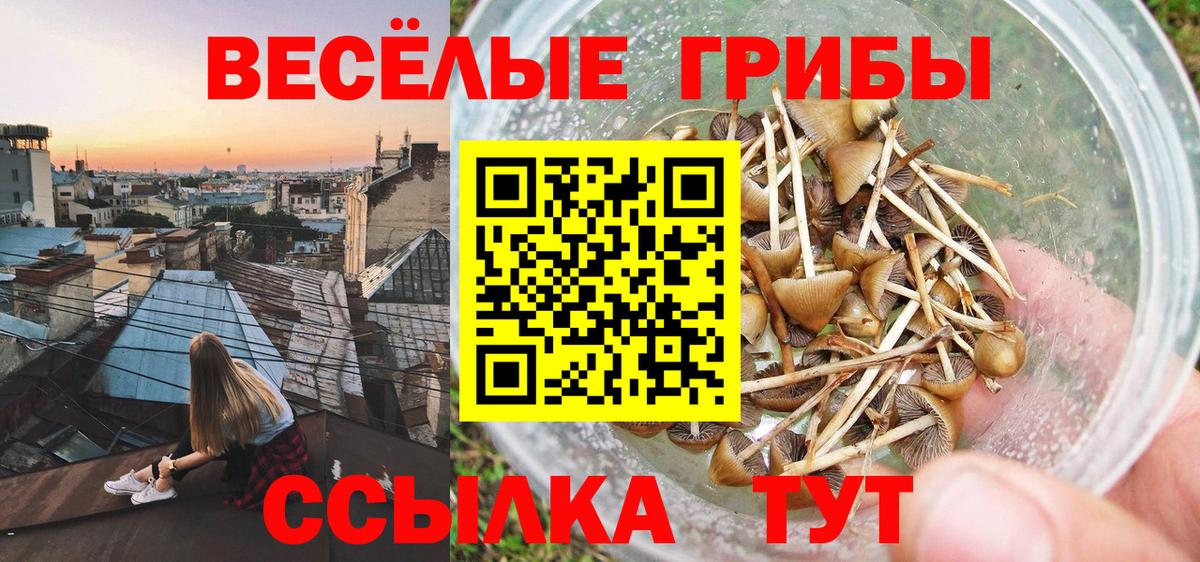 Артёмовский  Галлюциногенные грибы Magic Shrooms  Вход с VPN 